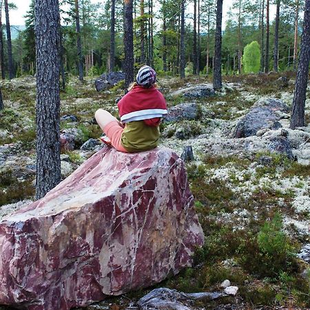 16 - Fulufjellets Nasjonalparker - Natur-, Dyre- Og Fugleopplevelser Ljørdal Zewnętrze zdjęcie