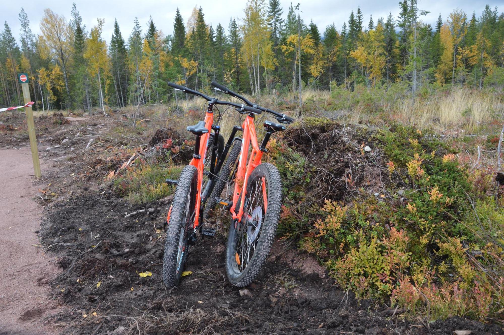 16 - Fulufjellets Nasjonalparker - Natur-, Dyre- Og Fugleopplevelser Ljørdal Zewnętrze zdjęcie