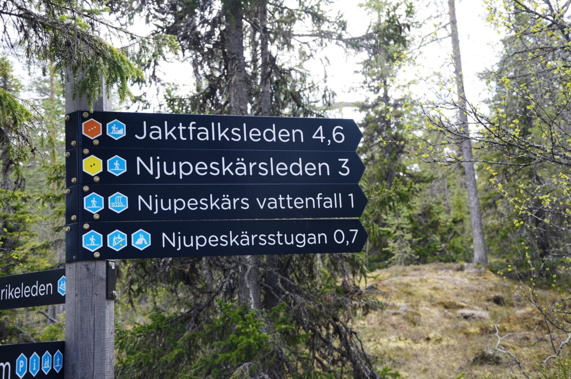 16 - Fulufjellets Nasjonalparker - Natur-, Dyre- Og Fugleopplevelser Ljørdal Zewnętrze zdjęcie