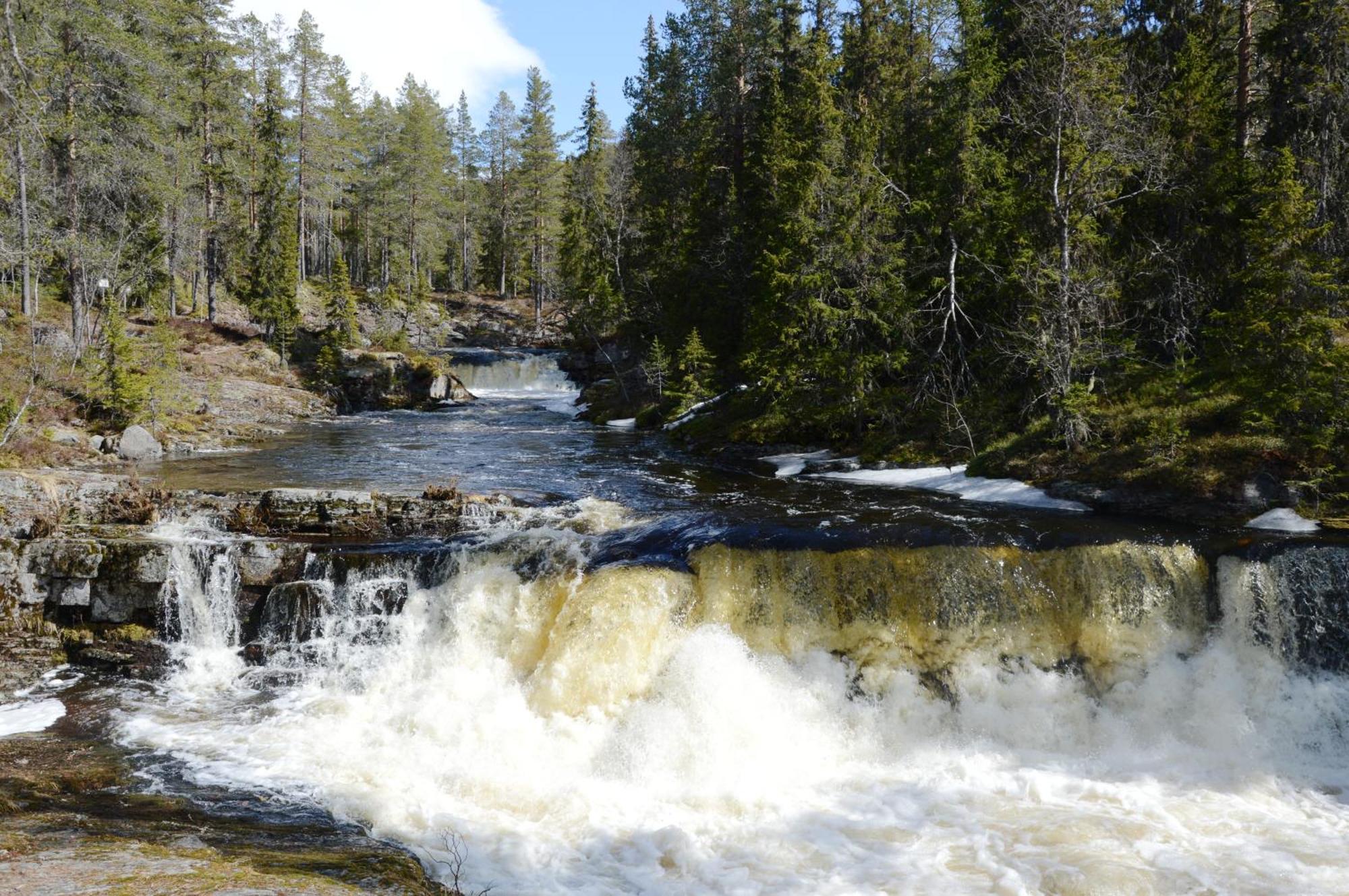16 - Fulufjellets Nasjonalparker - Natur-, Dyre- Og Fugleopplevelser Ljørdal Zewnętrze zdjęcie