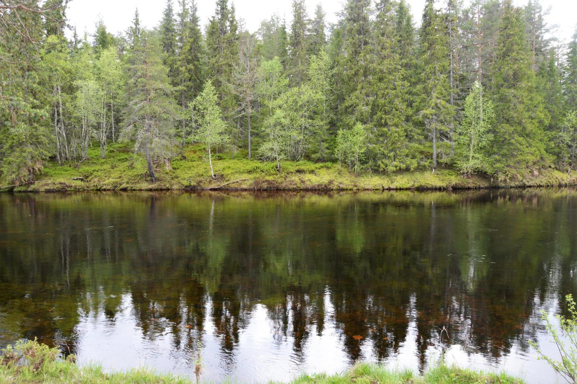 16 - Fulufjellets Nasjonalparker - Natur-, Dyre- Og Fugleopplevelser Ljørdal Zewnętrze zdjęcie