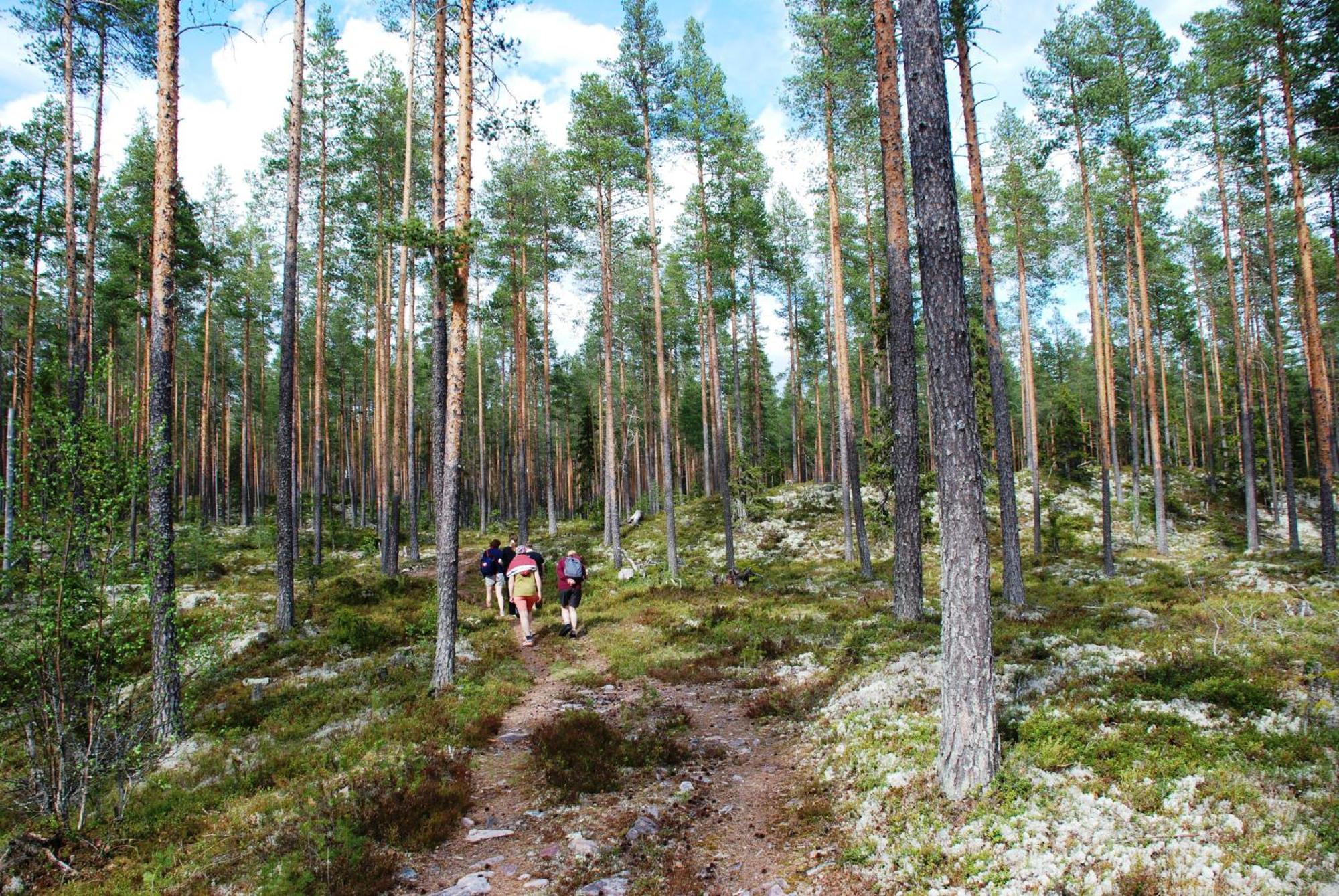 16 - Fulufjellets Nasjonalparker - Natur-, Dyre- Og Fugleopplevelser Ljørdal Zewnętrze zdjęcie