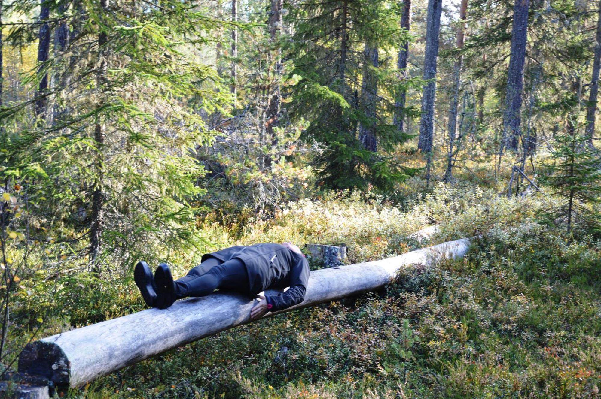 16 - Fulufjellets Nasjonalparker - Natur-, Dyre- Og Fugleopplevelser Ljørdal Zewnętrze zdjęcie