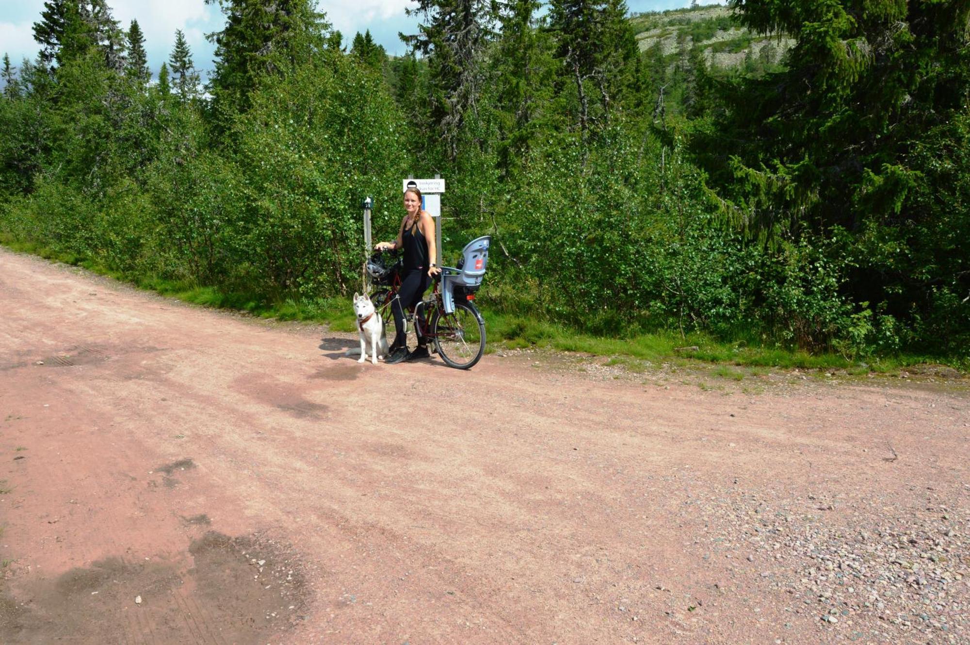16 - Fulufjellets Nasjonalparker - Natur-, Dyre- Og Fugleopplevelser Ljørdal Zewnętrze zdjęcie