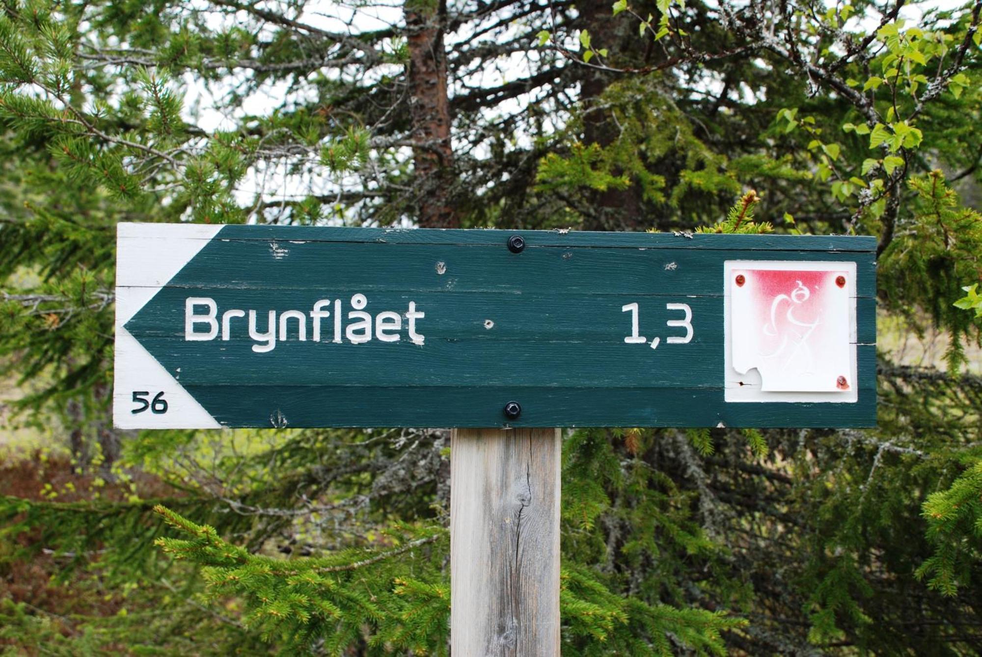 16 - Fulufjellets Nasjonalparker - Natur-, Dyre- Og Fugleopplevelser Ljørdal Zewnętrze zdjęcie
