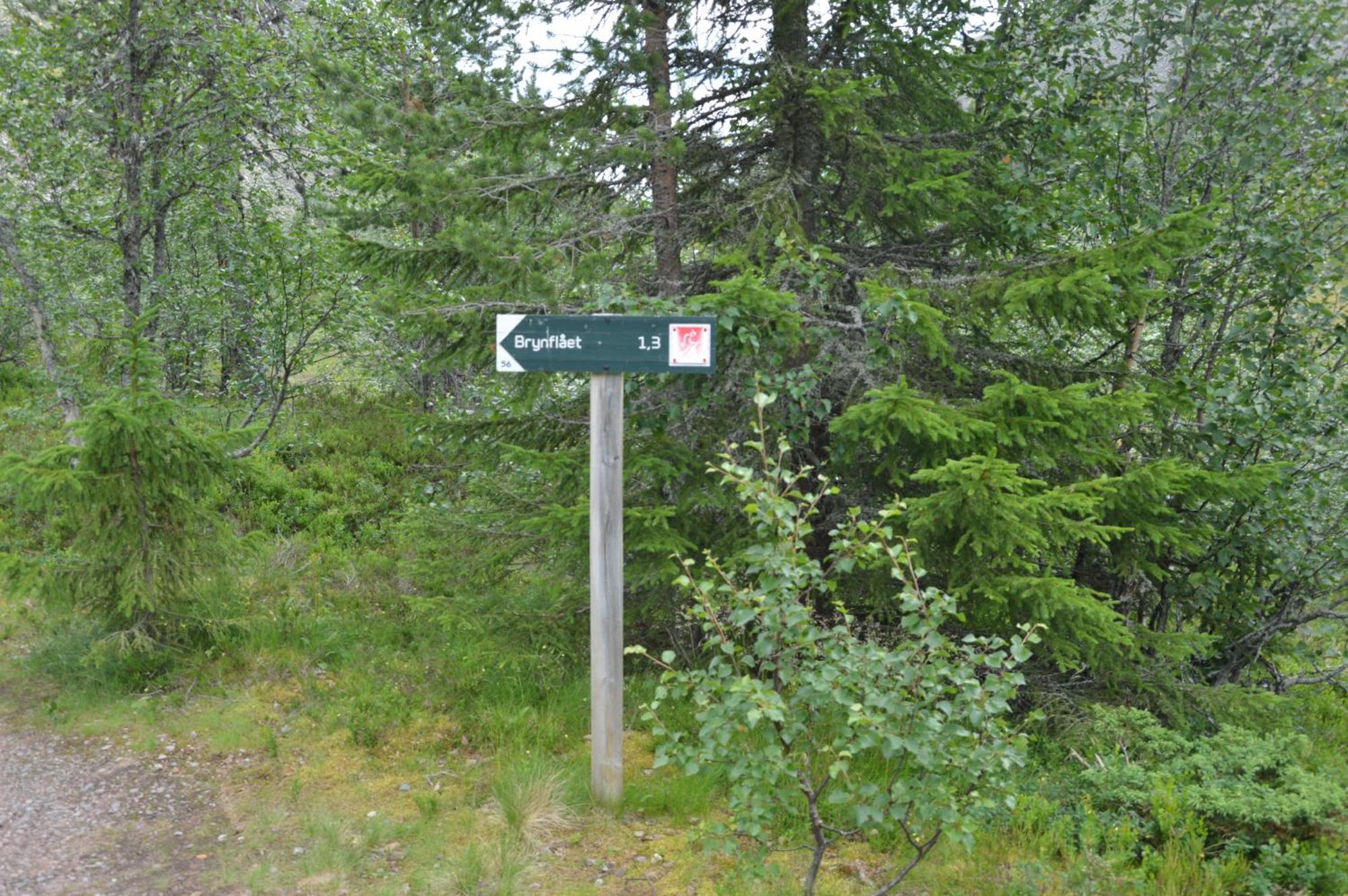16 - Fulufjellets Nasjonalparker - Natur-, Dyre- Og Fugleopplevelser Ljørdal Zewnętrze zdjęcie