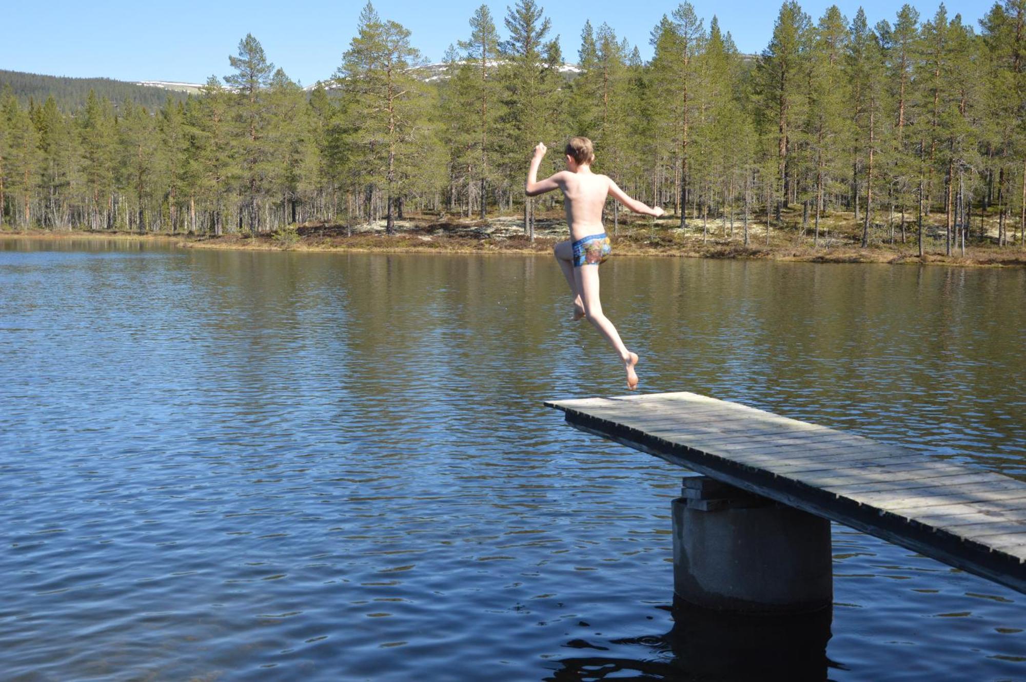 16 - Fulufjellets Nasjonalparker - Natur-, Dyre- Og Fugleopplevelser Ljørdal Zewnętrze zdjęcie