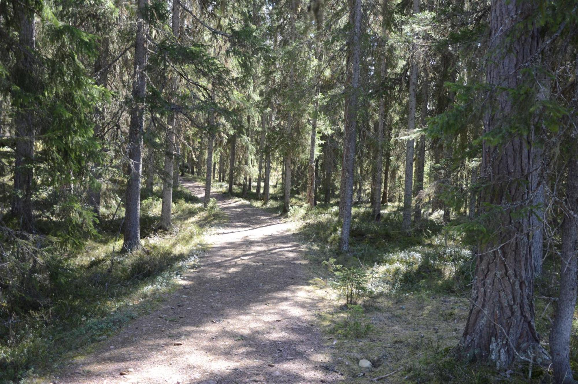 16 - Fulufjellets Nasjonalparker - Natur-, Dyre- Og Fugleopplevelser Ljørdal Zewnętrze zdjęcie