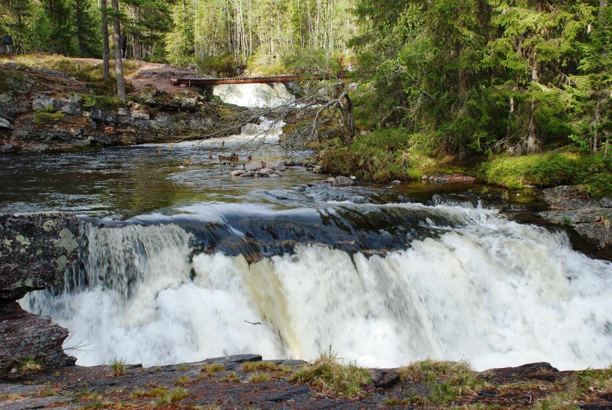 16 - Fulufjellets Nasjonalparker - Natur-, Dyre- Og Fugleopplevelser Ljørdal Zewnętrze zdjęcie