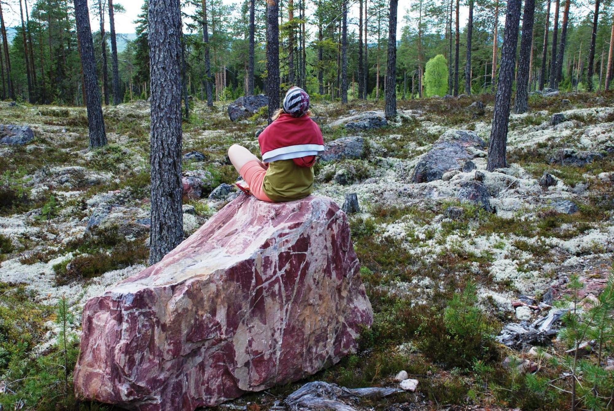 16 - Fulufjellets Nasjonalparker - Natur-, Dyre- Og Fugleopplevelser Ljørdal Zewnętrze zdjęcie