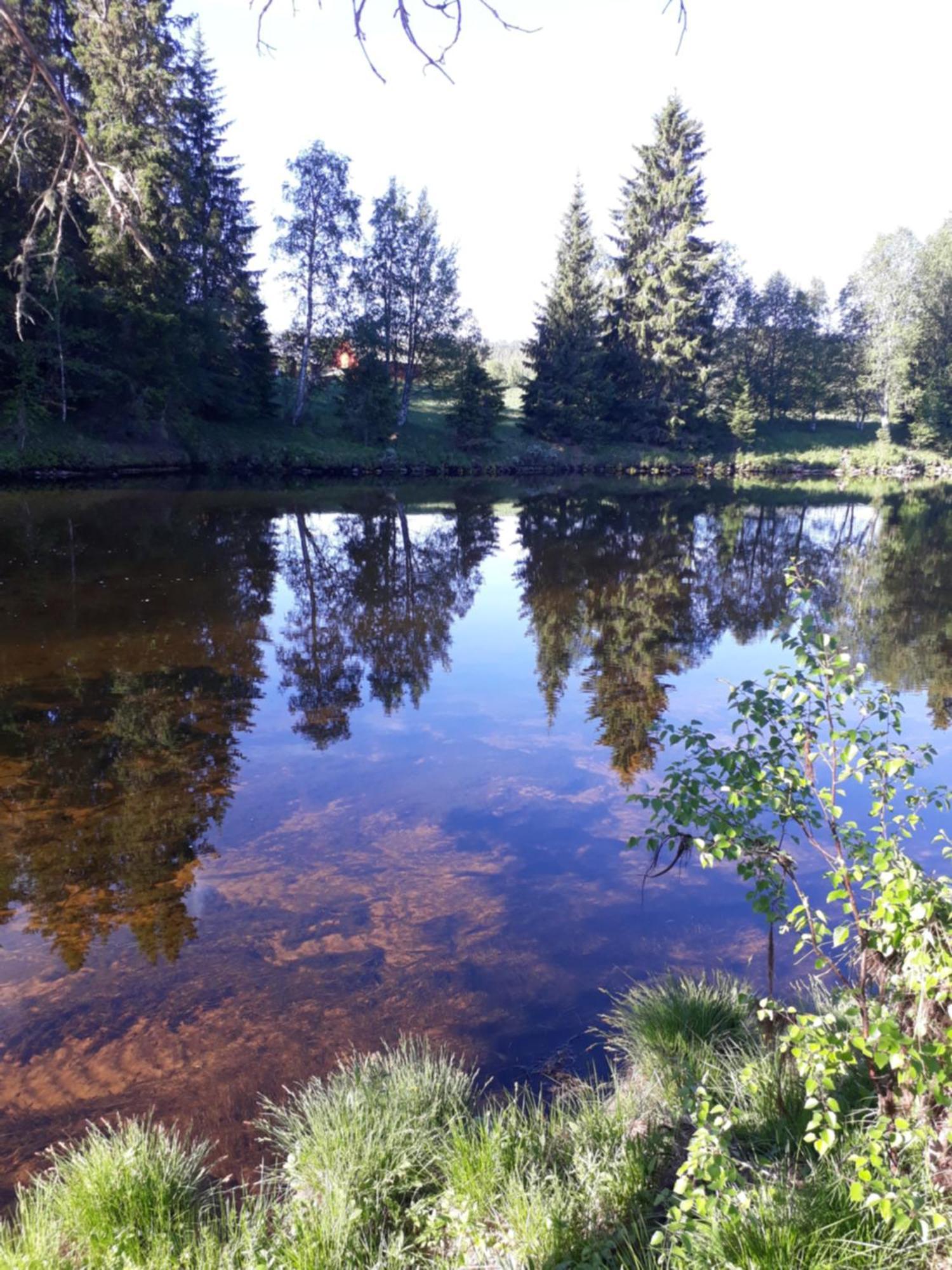 16 - Fulufjellets Nasjonalparker - Natur-, Dyre- Og Fugleopplevelser Ljørdal Zewnętrze zdjęcie